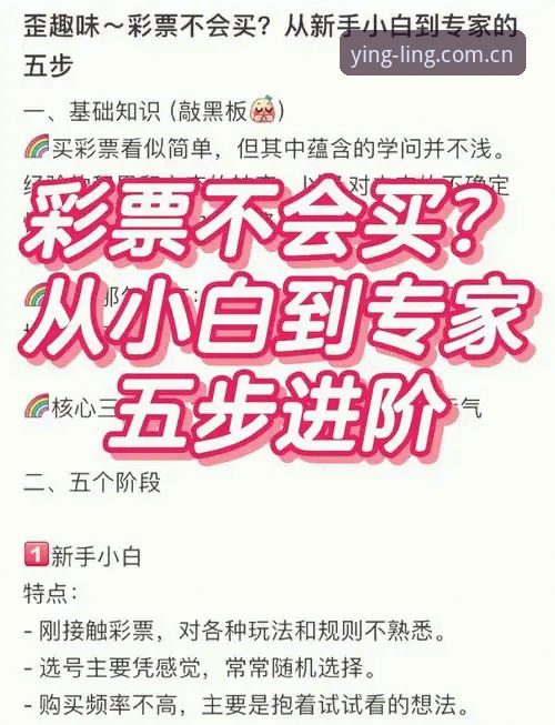 盈嘉体育彩票平台 盈嘉体育彩票平台使用完整指南:从入门到精通的全攻略